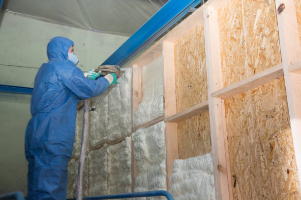 Best Energy-efficient Insulation  in Los Molinos, CA